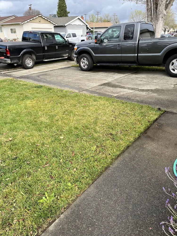 Custom garden landscaping in Sacramento, CA by 4 Seasons Gardening