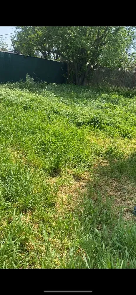 Reliable garden landscaping for beautiful yards in Sacramento, CA by 4 Seasons Gardening