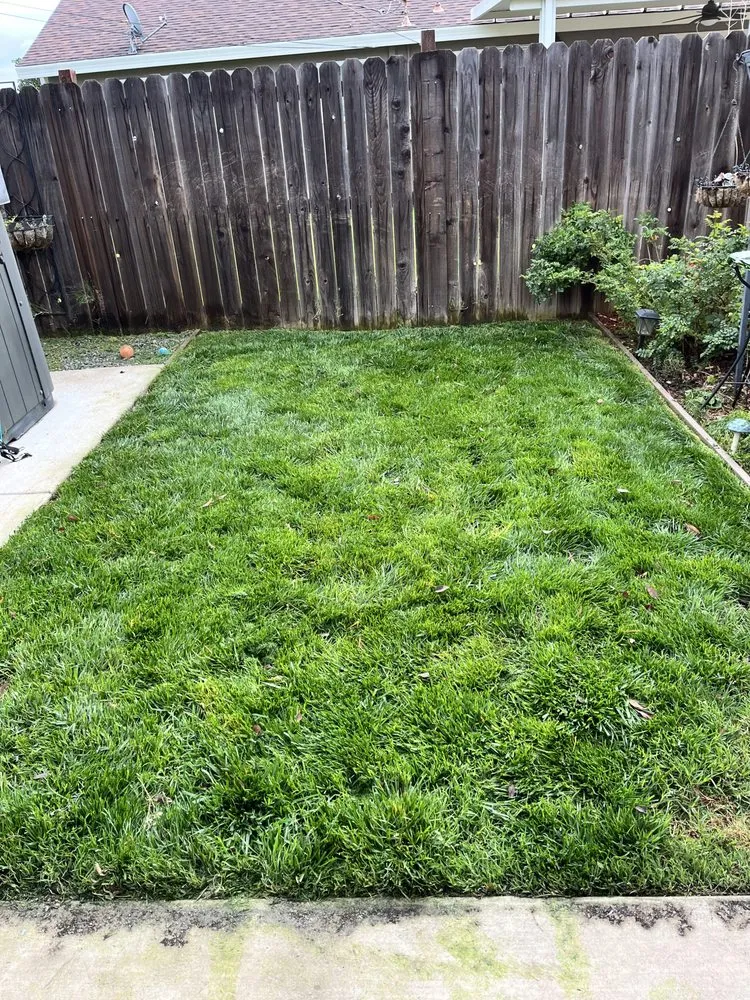 Custom yard maintenance experts serving Sacramento, CA - 4 Seasons Gardening
