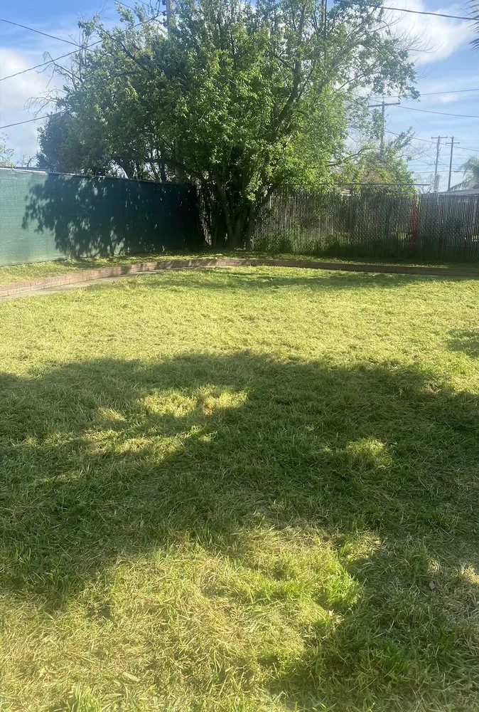 Expert landscaping services experts serving Sacramento, CA - 4 Seasons Gardening