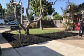 Local yard cleanup service in Sacramento, CA by 4 Seasons Gardening