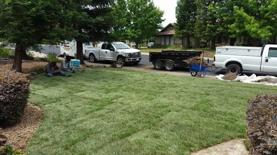 Local lawn care service with custom design in Sacramento, CA by 4 Seasons Gardening