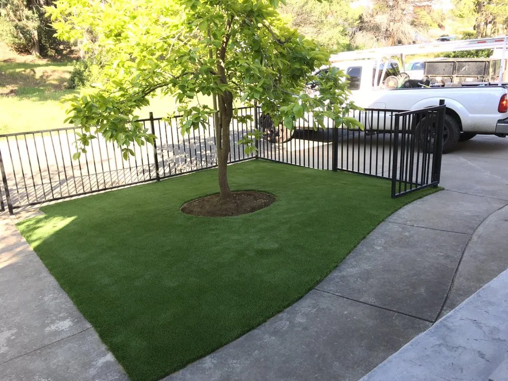 Affordable yard cleanup service experts serving San Jose, CA - 4 Seasons Green