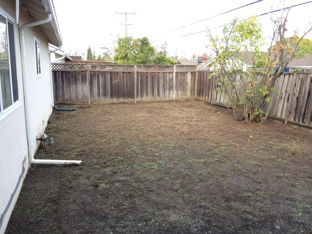 Expert yard cleanup service in San Jose, CA by 4 Seasons Green