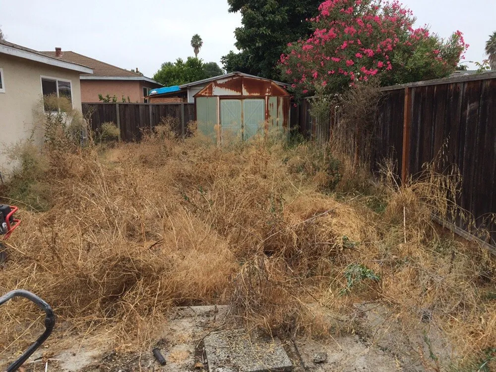 Affordable lawn mowing service for outdoor upgrades across San Jose, CA - 4 Seasons Green