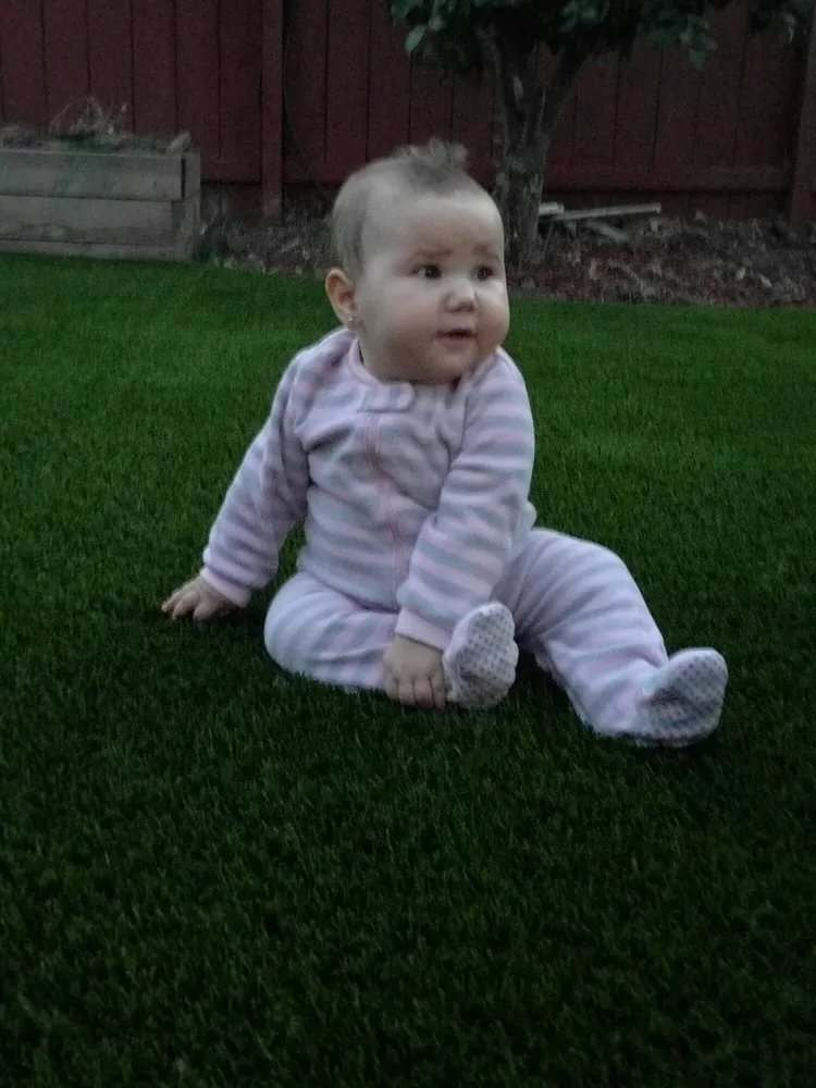 Professional lawn care service for year-round maintenance across San Jose, CA - 4 Seasons Green