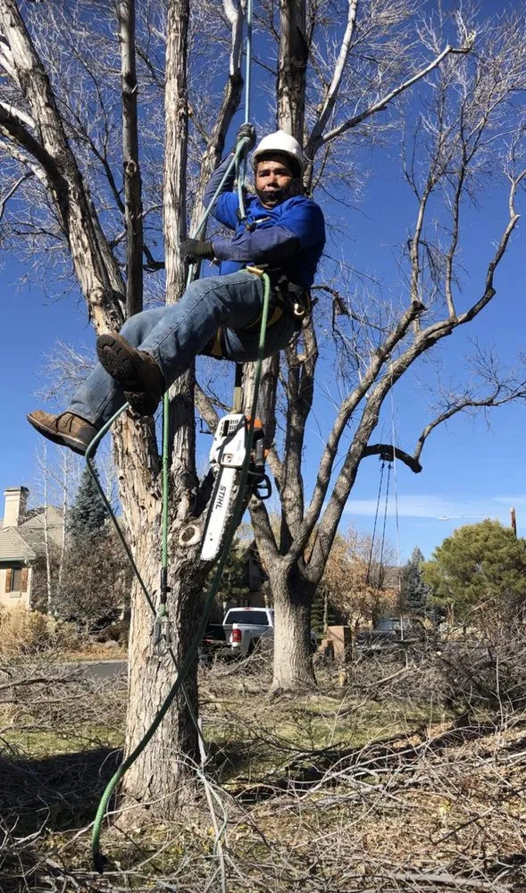 Reliable landscaping services experts serving Englewood, CO - 4 Seasons Landscape & Design