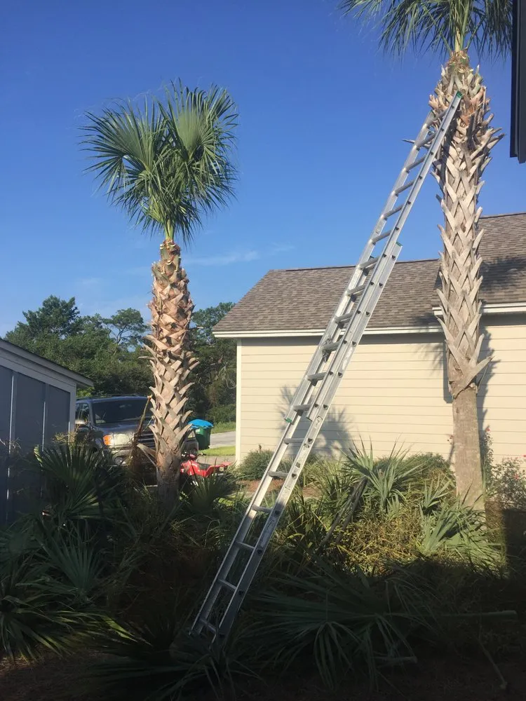 Local residential landscaping for beautiful yards in Panama City, FL by 4 Seasons Landscape & Pressure Washing