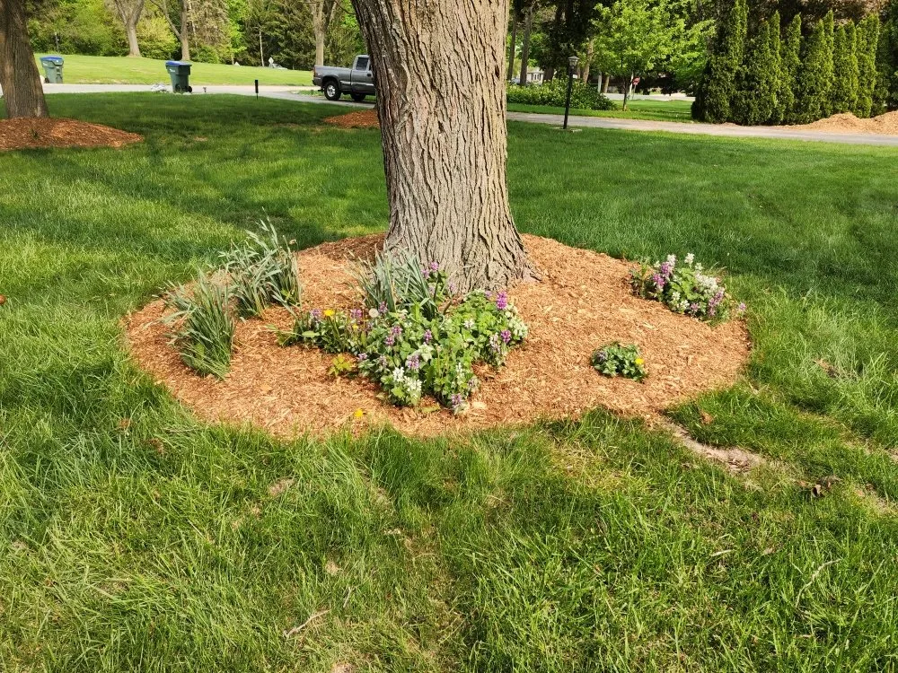 Top-rated lawn mowing service in Germantown, WI - 4 Seasons Landscape and Design