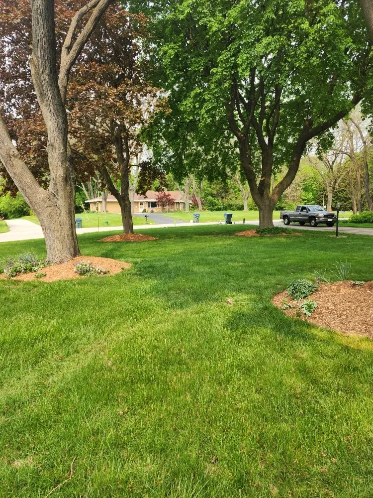 Reliable yard cleanup service for outdoor upgrades in Germantown, WI by 4 Seasons Landscape and Design