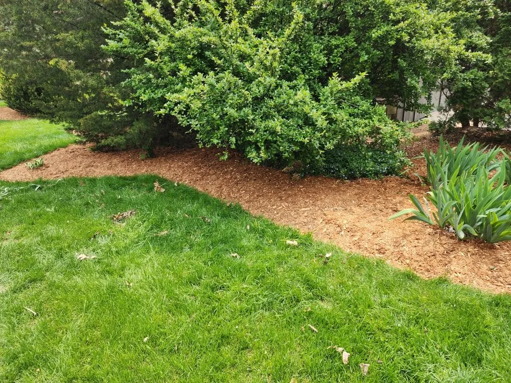 Trusted yard maintenance in Germantown, WI by 4 Seasons Landscape and Design