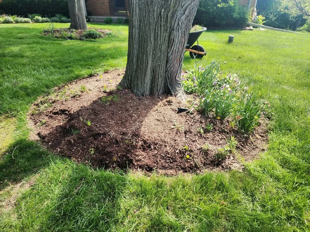 Custom lawn mowing service near you in Germantown, WI by 4 Seasons Landscape and Design