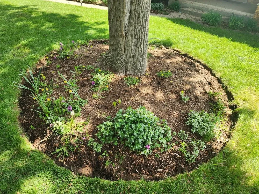 Local garden landscaping in Germantown, WI - 4 Seasons Landscape and Design