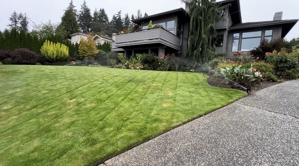 Custom landscaping services in Bellevue, WA by 4 Seasons Landscape Management