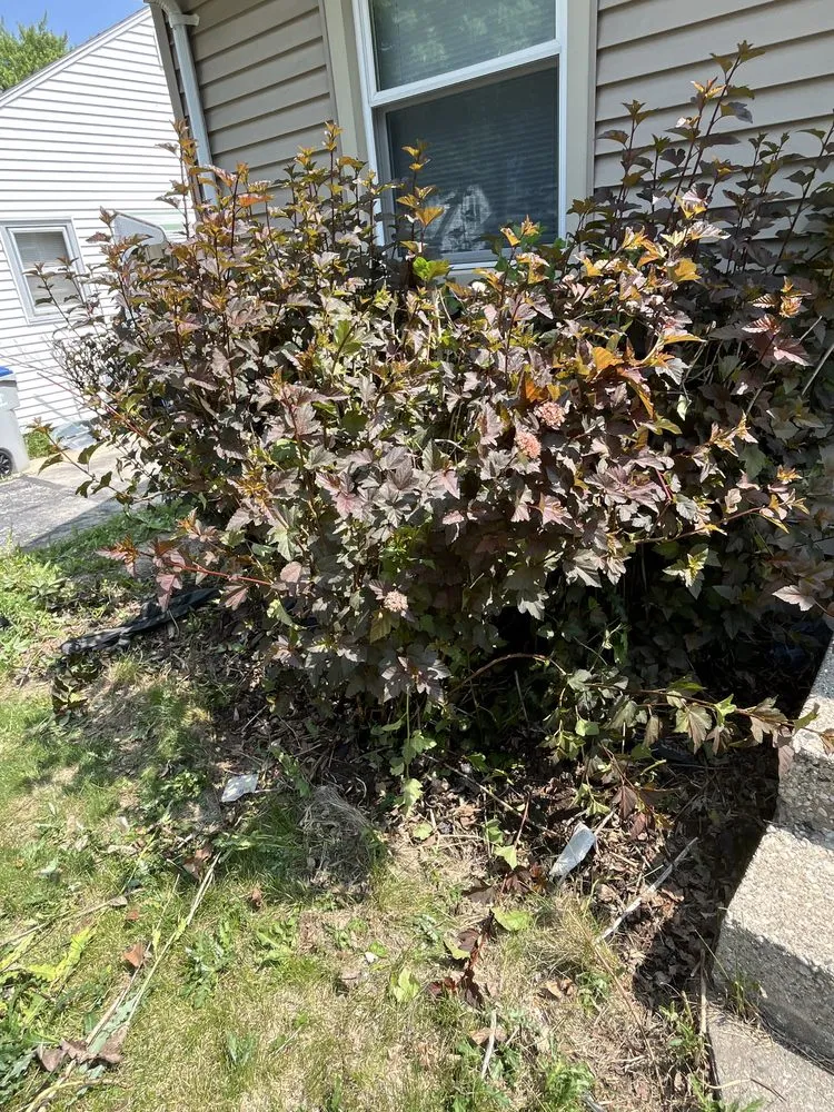 Local residential landscaping for outdoor upgrades in West Milwaukee, WI by 4 Seasons Landscape Mulch & More