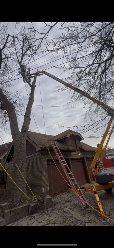 Expert landscape design in West Milwaukee, WI by 4 Seasons Landscape Mulch & More