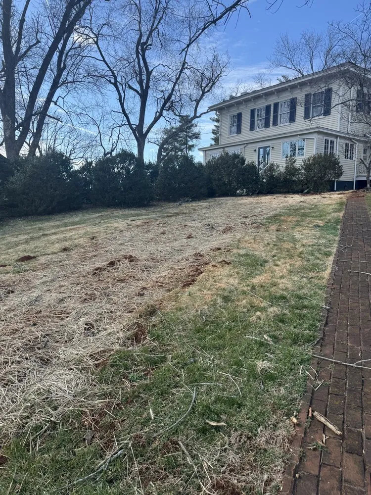 Trusted landscaping services experts serving Madison, VA - 4 Seasons Landscapes