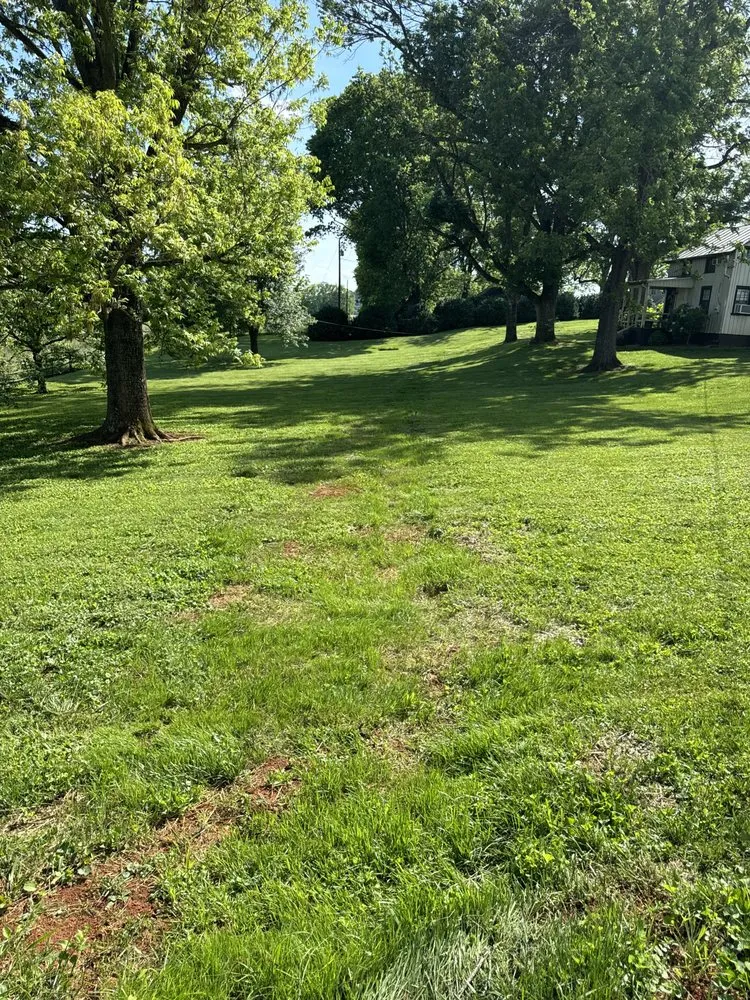 Expert lawn mowing service for year-round maintenance across Madison, VA - 4 Seasons Landscapes