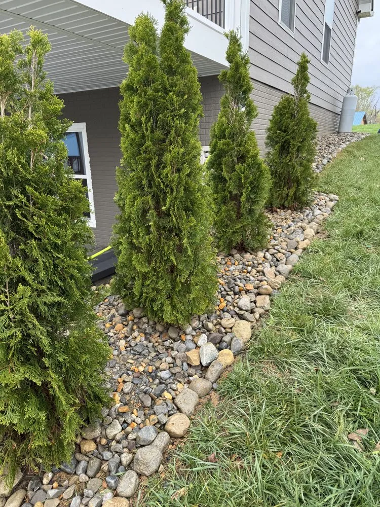 Reliable landscaping services for year-round maintenance across Madison, VA - 4 Seasons Landscapes