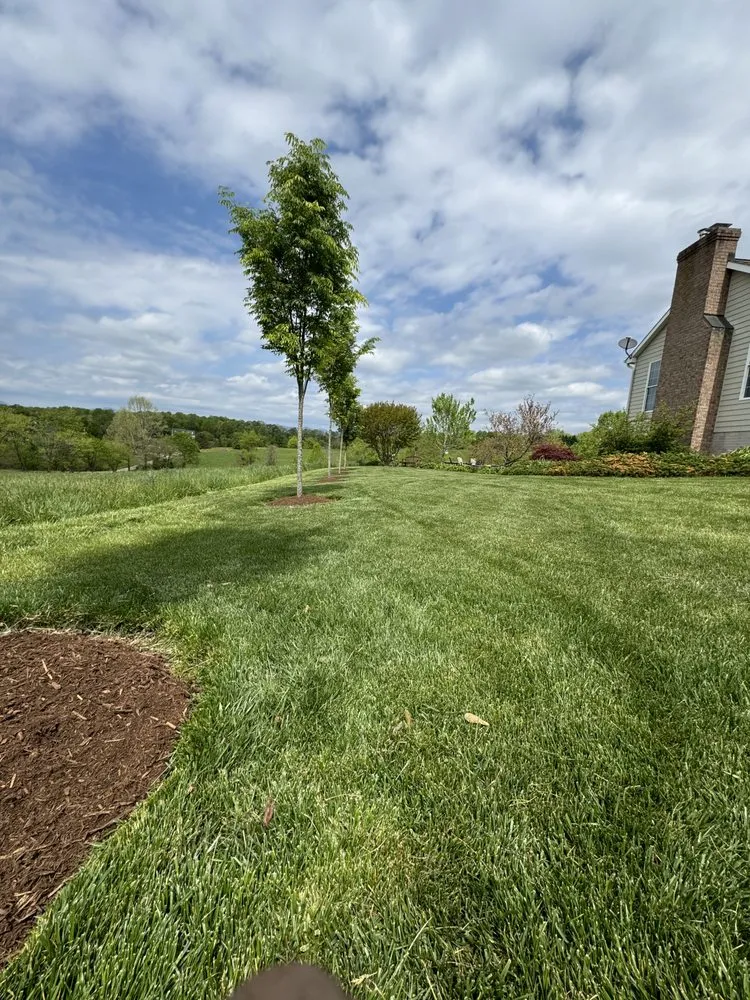 Custom yard maintenance experts serving Madison, VA - 4 Seasons Landscapes