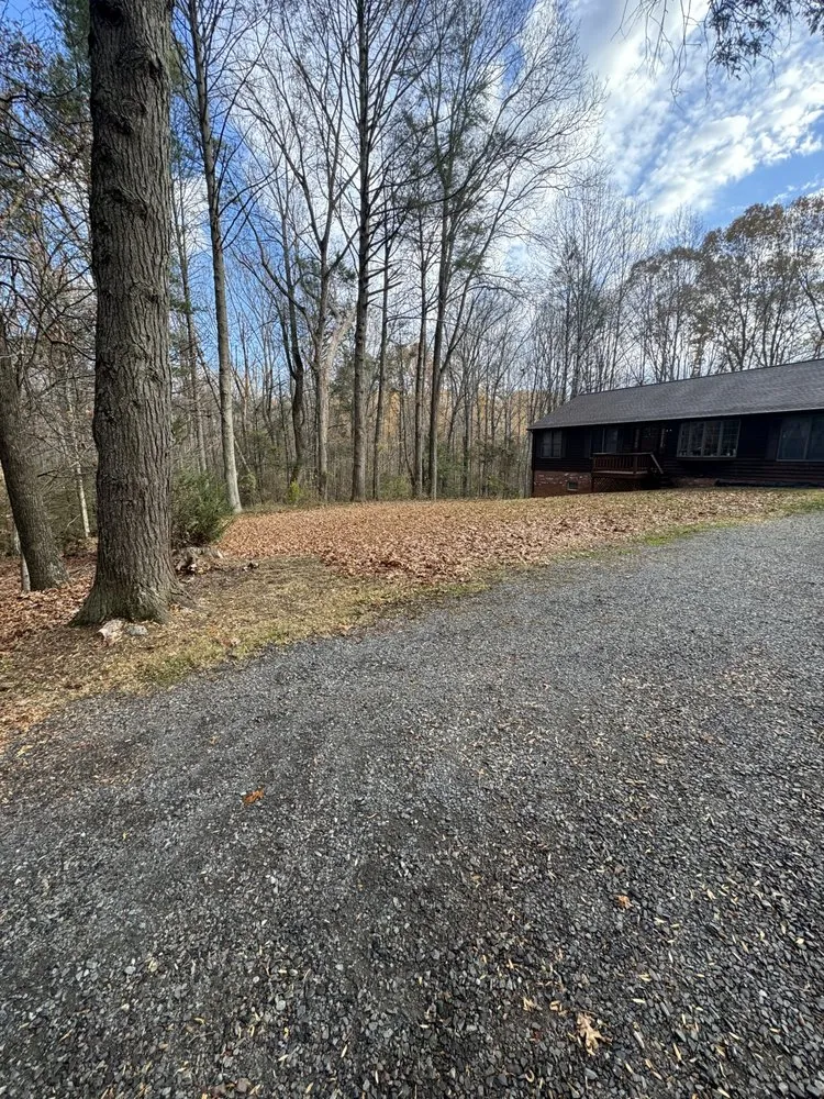 Custom yard cleanup service for year-round maintenance in Madison, VA by 4 Seasons Landscapes