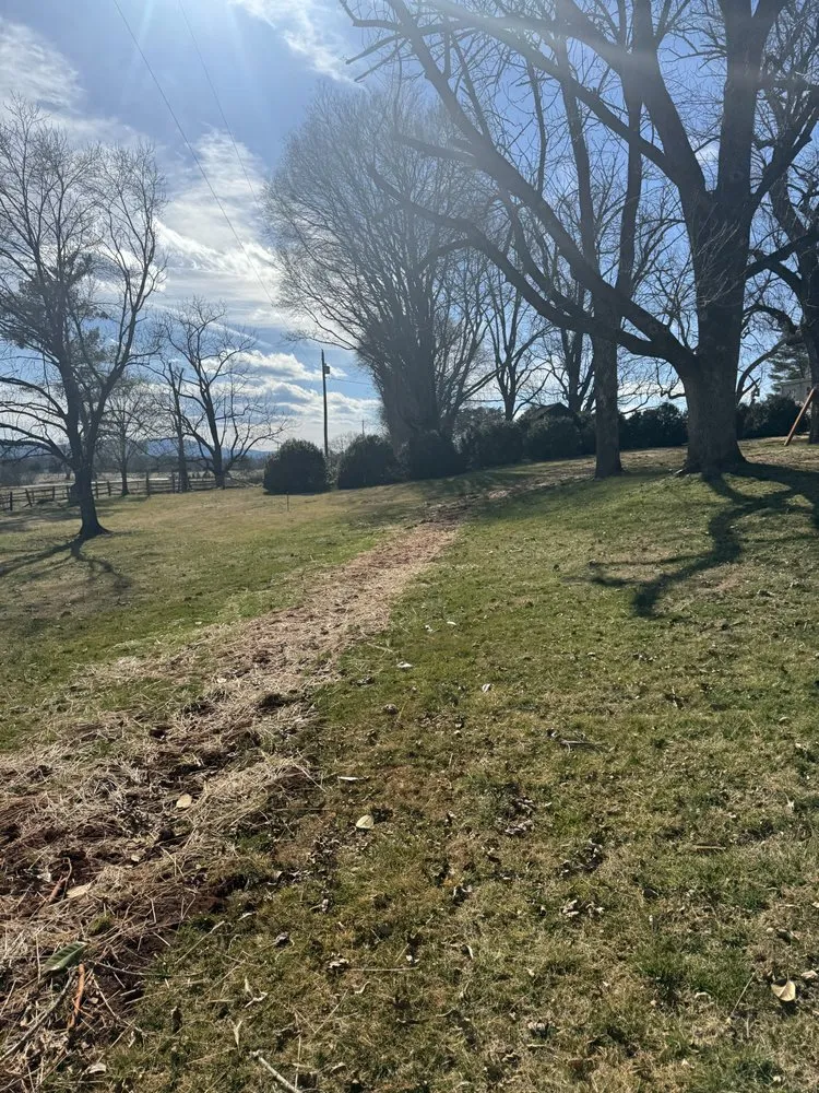 Custom yard maintenance experts serving Madison, VA - 4 Seasons Landscapes