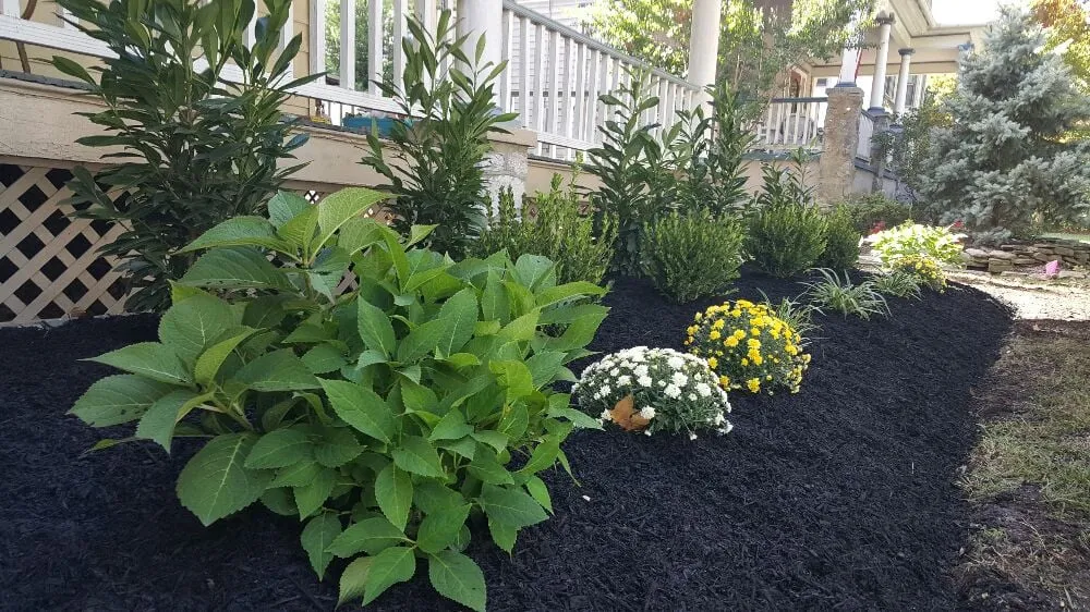 Reliable yard maintenance near you in Clementon, NJ by 4 Seasons Landscaping & Lawn Care