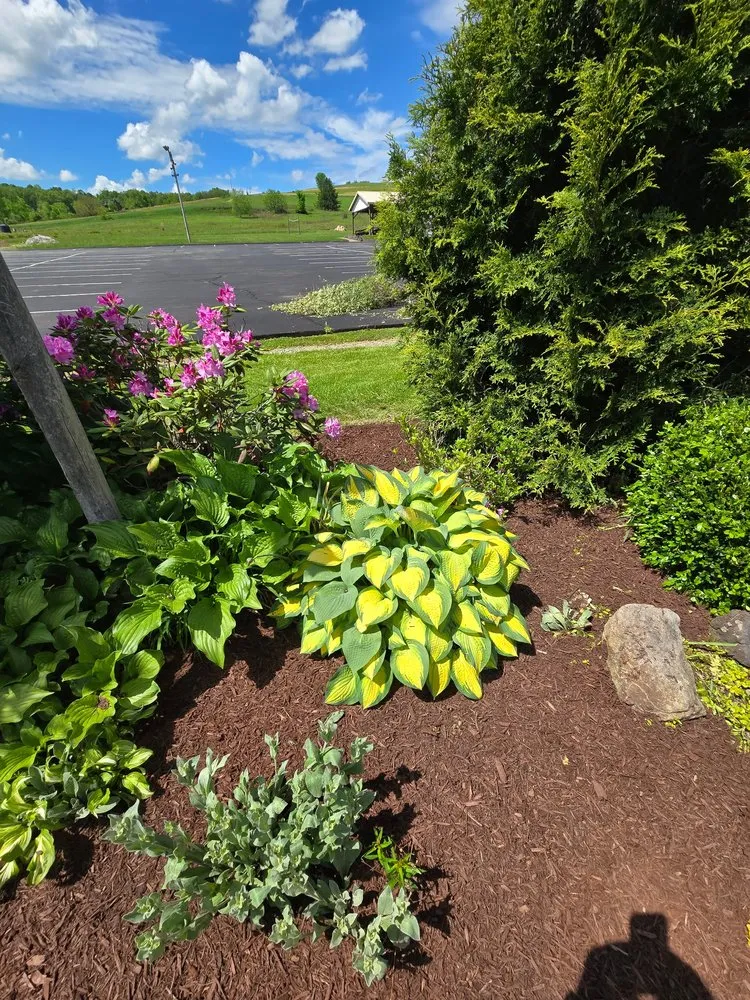 Expert landscaping services in Apollo, PA - 4 Seasons Landscaping