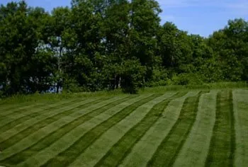 Affordable lawn mowing service for homes in Apollo, PA by 4 Seasons Landscaping