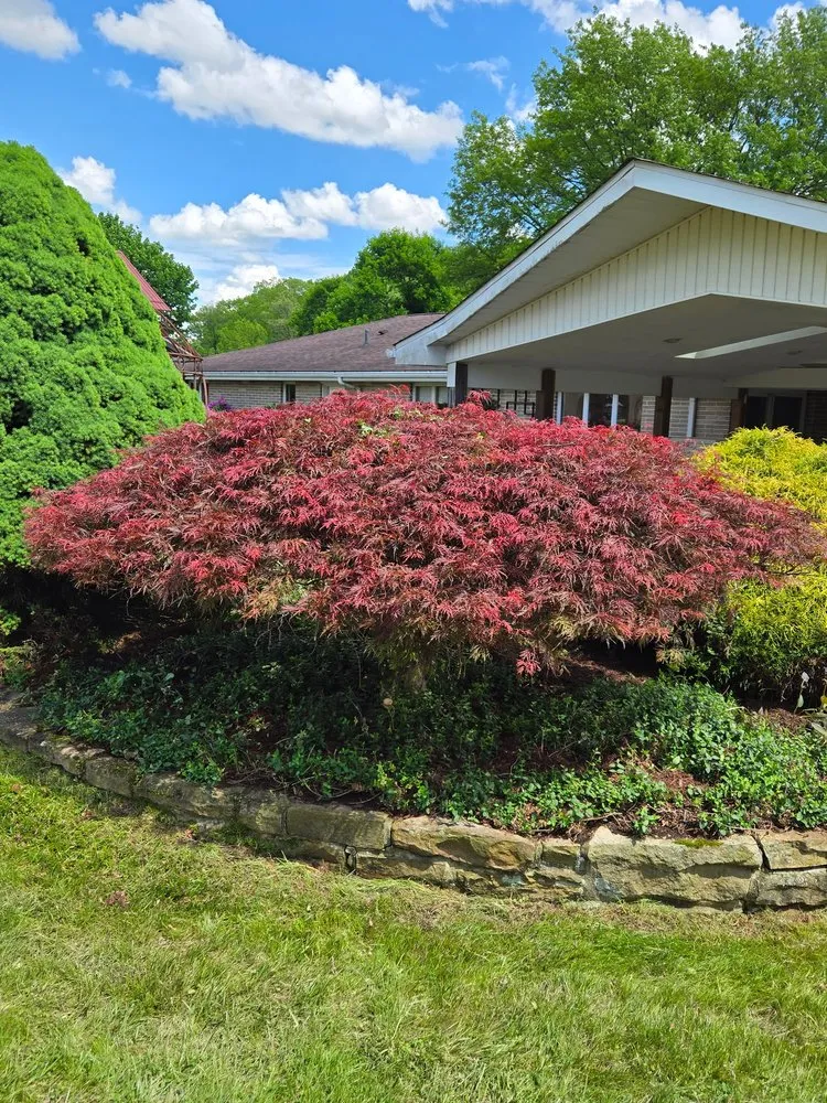 Custom yard maintenance experts serving Apollo, PA - 4 Seasons Landscaping