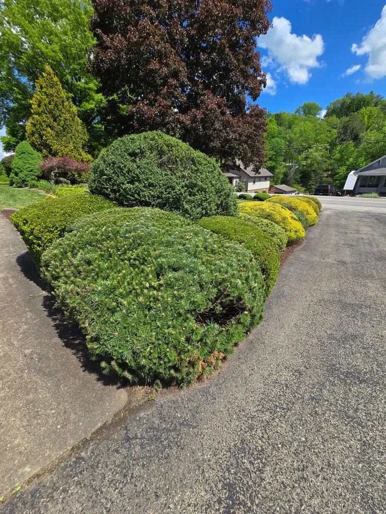 Top-rated landscape design for homes in Apollo, PA by 4 Seasons Landscaping