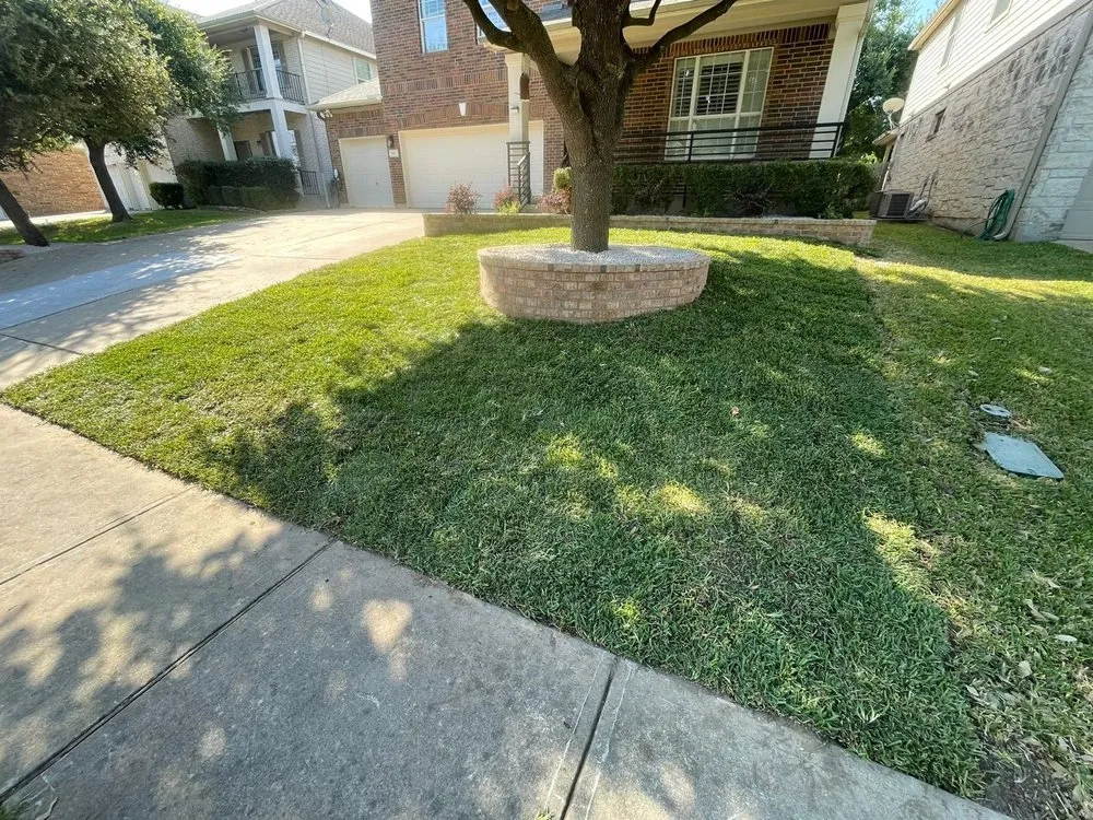 Top-rated yard cleanup service with custom design across Austin, TX - 4 Seasons Landscaping