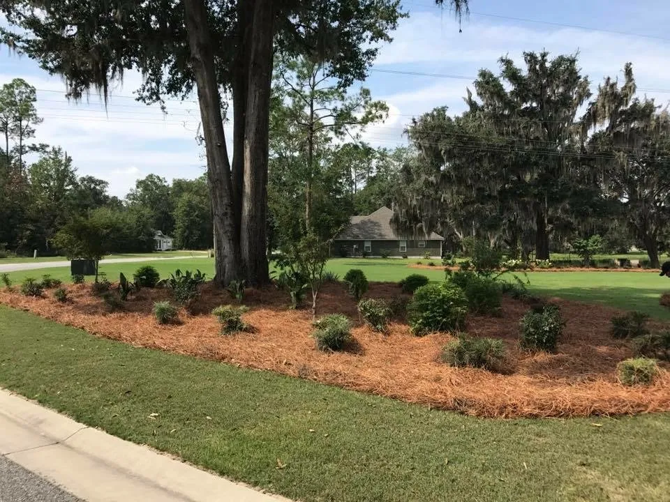 Professional yard maintenance in Brunswick, GA by 4 seasons landscaping