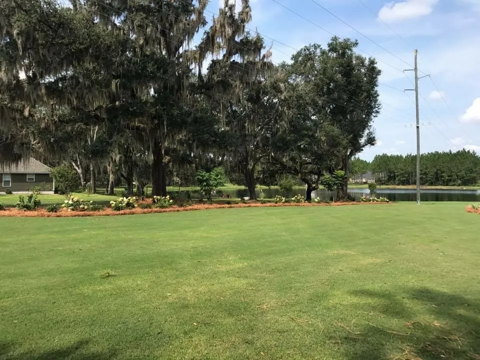 Top-rated lawn care service experts serving Brunswick, GA - 4 seasons landscaping