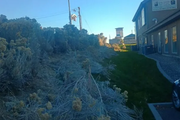 Expert landscape design in Tooele, UT - 4 Seasons Landscaping Maintenance Residential & Commercial