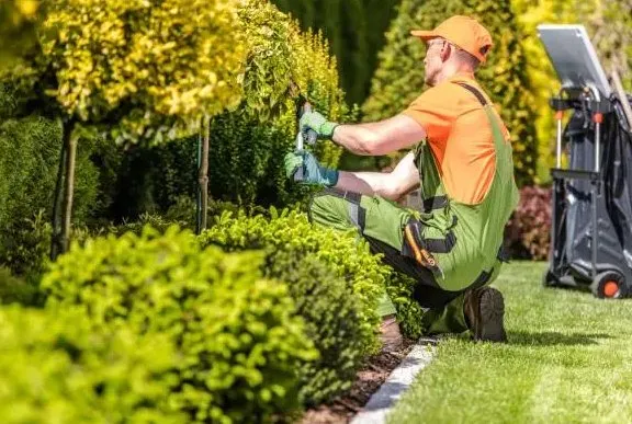 4 Seasons Landscaping Maintenance Residential & Commercial Logo