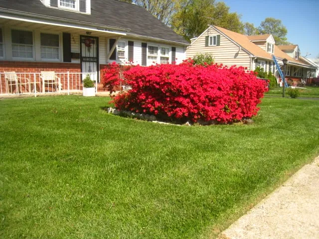 Top-rated lawn mowing service for homes in Severn, MD by 4 Seasons Landscaping Services