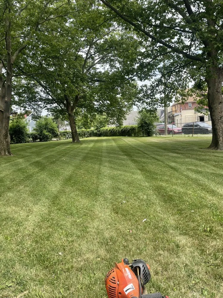 Trusted lawn care service for homes across Warren, MI - 4 Seasons Landscaping
