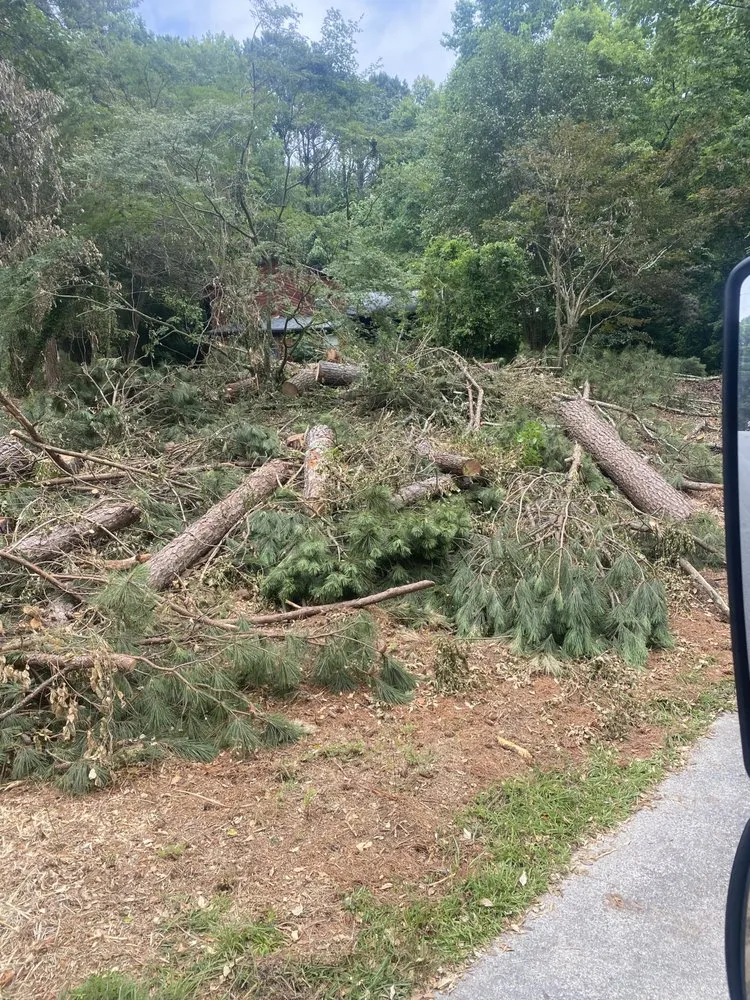 Reliable lawn care service in Ringgold, GA - 4 Seasons Lawn & Tree care