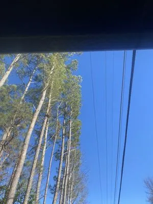 4 Seasons Lawn & Tree care