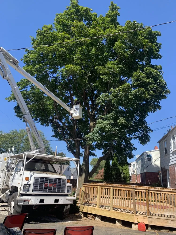 Reliable landscape design in Bethlehem, PA - 4 Seasons Lawn and Land