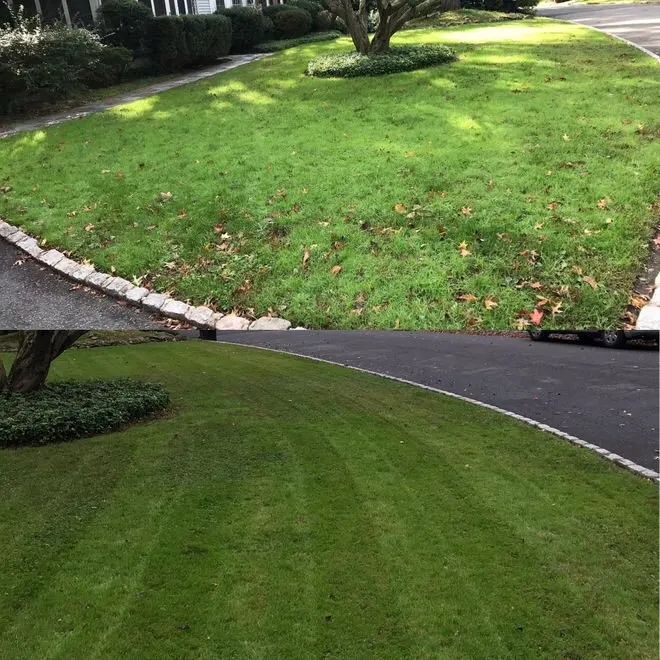 Local landscaping services in Alexandria, NJ by 4 Seasons Lawn Care & Snow Removal