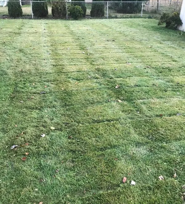 Affordable yard maintenance in Alexandria, NJ - 4 Seasons Lawn Care & Snow Removal