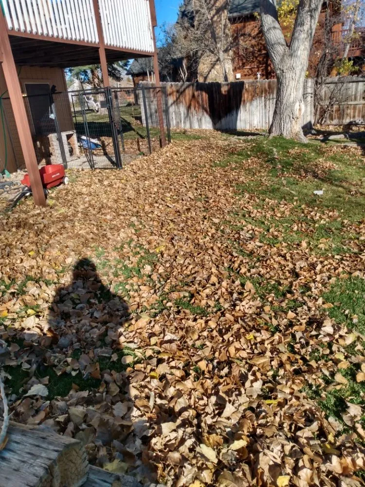 Custom yard cleanup service in Casper, WY by 4 Season's Lawn Care