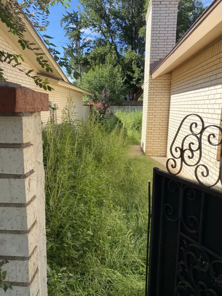 Top-rated residential landscaping in Lubbock, TX by 4 Seasons Lawn Care