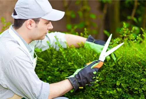 4 Seasons Lawn Care Snow Removal