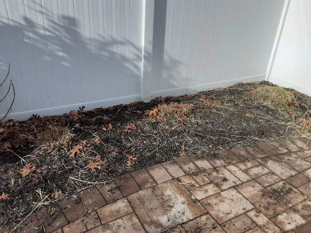 Affordable yard cleanup service experts serving East Patchogue, NY - 4 Seasons Lawn Maintenance