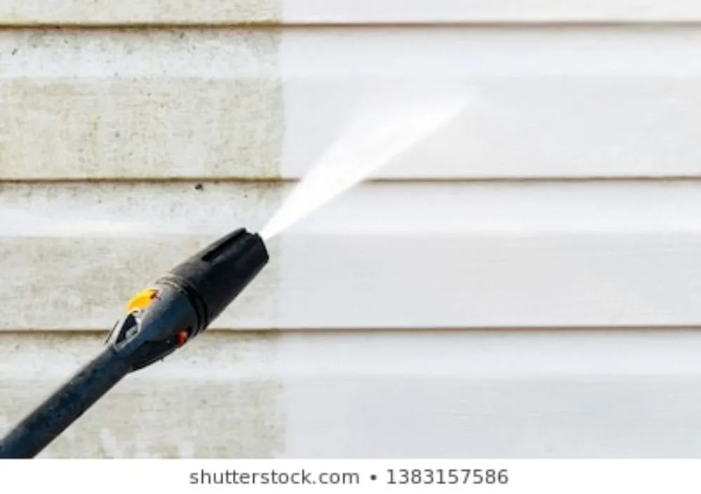 Custom yard maintenance experts serving East Patchogue, NY - 4 Seasons Lawn Maintenance