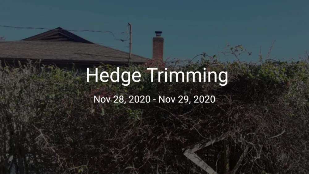 Top-rated landscape design in East Patchogue, NY by 4 Seasons Lawn Maintenance