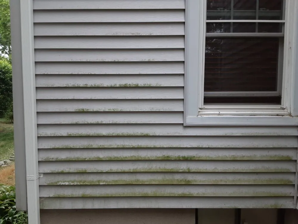 Reliable landscape design in East Patchogue, NY by 4 Seasons Lawn Maintenance